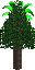 palm_tree.rgba16.png