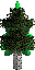 pine_tree.rgba16.png