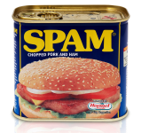 SPAM-can.png