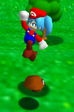 Poor Goomba.png