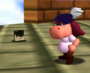 sm64coopdx_Lej021T7pO.png