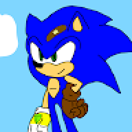 Sonic_elerizo1233