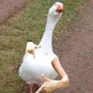 MC_SOAP