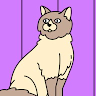 michi miau (:<