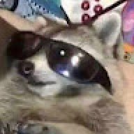ThatOtherWolfie