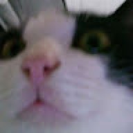 arthas