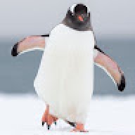 thefunmario2024