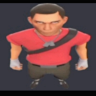 Moss231232312321312