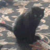 Moochcat81
