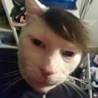 mizok