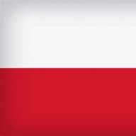 A_polish_guy