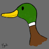 Gold|Duck