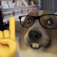 Timby6