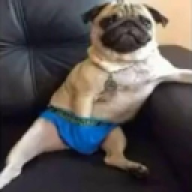 zetasxd