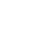 ThatCarrotGuy