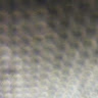 mrDactyl