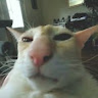 angelpapu789