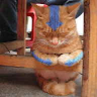 momsphaggeti22