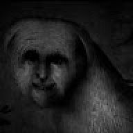 MrVoid