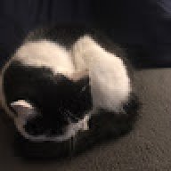 memegodcat