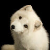 Articfoxgamez