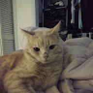 froky0001