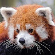 ori