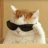 Battle_Cat