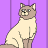 michi miau (:<