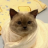 yurienjoyer26