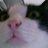 arthas