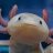 Axolotl w