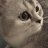 musti