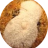 Meowmers320