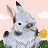 mouse1234544