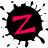 Z_2007