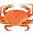 mrkrabs4ever