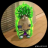 maxd360