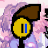Mr_Gapple