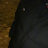 b2dave