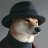Mr.doge_2000