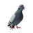 martigamerpro27